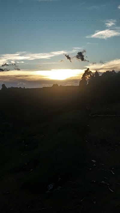 The image depicts a sunset in Limuru, Kenya. The sky transitions from blue with wispy white clouds on the left to a brighter area with orange and yellow hues near the horizon. Silhouetted dark green vegetation is visible on the right side.