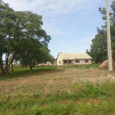 In Dorowa, Nigeria, a single-story, light-colored house with a rusted corrugated metal roof is situated in a rural setting. The house has dark-rimmed windows and a small stoop with railings leading to the entrance. The surrounding environment consists of dry, brown soil with patches of green grass and other low-lying vegetation in the foreground. To the left of the house, a cluster of mature trees with dense green foliage is visible, their trunks appearing thick and aged. Further in the background, another building constructed of rough stone blocks can be seen, also with dark-rimmed windows. A utility pole with some faded signage stands to the right of the house, adjacent to a large mound of what appears to be dirt or possibly a pile of harvested materials. The sky above is a pale blue with scattered, wispy white clouds.