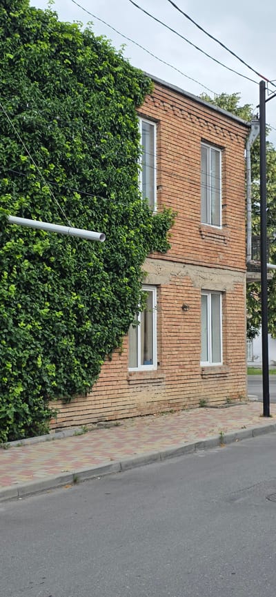 The image shows a two-story brick building partially covered in dense green ivy. The building has several windows with white frames. A white pipe runs horizontally across the ivy-covered section of the wall. A paved sidewalk with a pattern of red and beige stones runs along the front of the building, and a grey asphalt road is in the foreground. A dark pole stands to the right of the building, with utility wires running overhead. The sky is overcast. The scene is located in the city of Gori, Georgia.