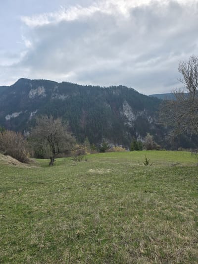 The image depicts a landscape in Giovren, Bulgaria, featuring a mountain range on the left side of the frame, partially obscured by clouds. The lower right portion of the image shows a green, grassy field with patches of brown. Several bare trees are scattered across the field, with one near the center of the image and another at the top. The sky is overcast.