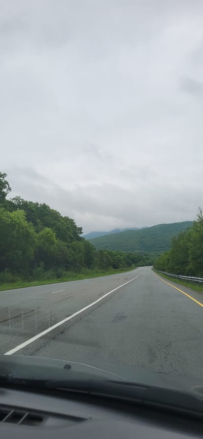 This is a photograph taken from inside a vehicle, looking out at a two-lane asphalt road that curves to the right and disappears into a valley. The road is wet, suggesting recent rain. White dashed lines mark the lanes, and a solid yellow line runs along the right shoulder. On either side of the road, lush green trees and dense foliage form hillsides. In the distance, rolling mountains are visible, shrouded in a light mist under a cloudy, overcast sky. The lower part of the image shows the vehicle's dashboard and windshield, with a dark object, possibly a sticker or debris, adhered to the inside of the windshield. There are no people or animals visible in the frame. The scene depicts a serene, natural landscape on a grey day. There is no visual information in the image to confirm the location as Filippovka, Russia.