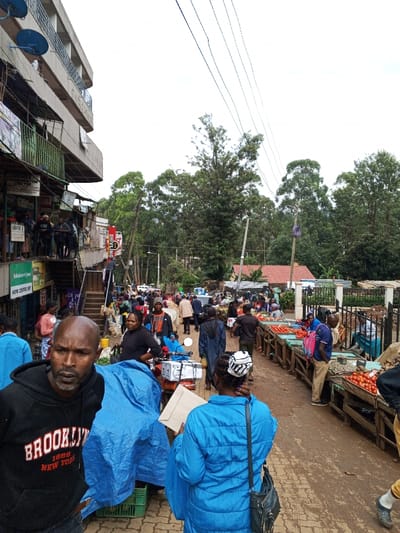 This image depicts a bustling outdoor market street in Kisii Central ward, Kenya, under an overcast sky. The foreground on the left features a bald man with a beard, wearing a black hoodie with "BROOKLYN" text, looking slightly left. To his right and slightly behind him, a woman in a blue puffer jacket, facing away from the camera, holds a light-colored envelope and wears a black and white patterned head covering. A blue tarp covers an object, likely a motorcycle, between these individuals, with a white box secured to its rear.
The right side of the street is occupied by multiple wooden market stalls displaying produce, predominantly red tomatoes. Numerous individuals, identified as vendors and shoppers, are interacting around these stalls. A metal fence runs along the right edge of the market area, beyond which tall green trees and a building with a red roof are visible in the mid-distance. The left side of the street is defined by a multi-story concrete building with balconies, where several people are visible. This building features various commercial signages, including "Saladak in Jam" and "HOPE CENTRE ENTERT." Two blue satellite dishes are mounted on its upper exterior. Overhead utility lines stretch across the sky. The paved street is densely populated with pedestrians, all appearing to be engaged in market activities or transit.