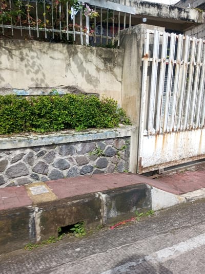 This image captures a street-level view of a property in Cipendawa, Indonesia, under daylight. The scene presents a segment of an asphalt or concrete roadway in the foreground, showing wear and minor surface irregularities. A dark grey concrete curb, discolored by dirt and moisture, runs parallel to the road, featuring a rectangular drain opening on the left from which small green plants emerge. A red, segmented, plastic object, resembling a toy centipede, lies on the road surface to the right of the drain. The curb transitions into a red-brown paved sidewalk with lighter beige square markings, forming an inclined access ramp towards the property entrance.
In the midground, a low retaining wall constructed from varied grey and brown stones, mortared together, supports a planter box filled with dense green shrubs. Small green plants also sprout from between the stones of the retaining wall. Above the planter, a light-colored concrete wall, exhibiting extensive cracking, peeling paint, and a faded blue painted strip near its base, is visible. Shadows, consistent with tree branches or foliage, are cast across this concrete wall. To the right, a white metal gate composed of vertical bars, heavily rusted in its lower sections, marks the property entrance. This gate appears to be a sliding type, with a track visible at its base. A substantial concrete pillar supports the gate on its right side.
The background reveals an upper section of the building behind the gate and concrete wall. A white horizontal-bar metal railing, possibly for a balcony or window, is present, interwoven with green foliage and clusters of pink flowers. A white piece of cloth hangs over this upper railing on the left. A dark recessed opening, possibly a window or sheltered entrance, with faint reflections, is visible behind the railing. No human or animal subjects are present or engaged in any activity.