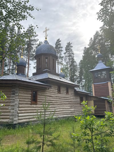 The image shows a wooden Orthodox church with a bell tower situated in a forest environment. The church has multiple domes, the main one being larger and topped with a golden cross, while a smaller dome with a similar cross is visible on a smaller structure. The bell tower is a separate wooden structure with a dark roof and an opening showing a bell inside. The church and tower are constructed from logs, with some stone foundation visible on the main building. The surrounding area is overgrown with grass and young pine trees, with mature pine trees forming a dense backdrop. The sky is overcast, with patches of brighter sky suggesting the sun is diffused. No people are present in the image. The architecture suggests it is likely a rural or remote location, consistent with a forest setting in a place like Nenyamyaki, Russia.