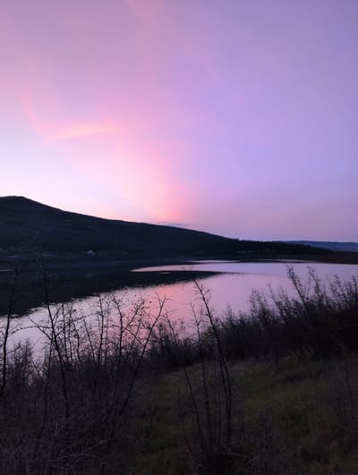 The image depicts a twilight scene near Buhovtsi, Bulgaria. A body of water reflects the pink and lavender sky. On the left, a dark, mountainous landmass rises, casting a shadow on the water. Bare trees and dense foliage line the right side of the water. The overall scene conveys a sense of quiet and solitude.