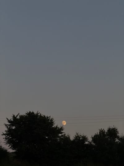This media file shows a nighttime scene in Novosilka, Ukraine, with a full moon rising against a dusky sky. The moon, a pale yellow orb, is partially obscured by overhead power lines. To the right of the frame, a large, silhouetted tree fills the foreground, its dark foliage contrasting with the lighter sky. The tree appears dense and leafy, suggesting it is a mature specimen. The overall mood is one of quiet twilight, with the natural beauty of the moon and tree set against the subtle presence of human infrastructure in the form of the power lines. The time of day is clearly evening or early morning, indicated by the twilight sky and the prominent moon. No people or specific activities are depicted; the image focuses on the landscape and celestial elements. The location is identified as Novosilka, Ukraine, but no other specific geographical cues are visible within the frame. The photograph is devoid of any visible text.