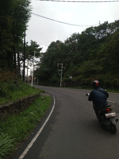 The image captures a view from a curving road in a lush, hilly environment, likely during an overcast day.
In the foreground, to the left, there's a low stone retaining wall, partially obscured by vibrant green grass and some dry, taller wild vegetation. A clear, solid white line marks the edge of the asphalt road, which curves gently to the right and uphill, leading away from the viewer.
On the road, slightly to the right of the center, a person is riding a dark-colored motorcycle, moving away from the camera. The rider is wearing a dark blue or black puffy vest over dark clothing and a helmet adorned with distinct red and black stripes. The back of the motorcycle features a red tail light and a visible license plate with the text "F 2903 XF". The road surface is dark gray asphalt, with faint double dashed yellow lines visible towards the center, indicating a two-way traffic flow.
To the right of the road, a steep, densely vegetated hillside rises, covered with numerous dark green trees and bushes. Several white utility poles or street light poles are interspersed along this side. One pole in the midground has an ornate design with multiple lamp fixtures, and further down the road, another simpler pole with multiple lights is visible. A white diamond-shaped road sign with a black diagonal arrow pointing upwards and to the right is also present on the hillside, suggesting an upcoming curve or change in the road's direction.
On the left side of the road, beyond the stone wall and vegetation, tall, slender trees, possibly conifers, grow thickly, forming a dense canopy. Through these trees, glimpses of distant white structures or buildings can be seen in the far background. Overhead, against the light gray, overcast sky, several dark power lines stretch across the frame, connecting to unseen poles further out of view. The overall impression is one of a serene, natural landscape with a winding road, suggesting a journey through a scenic area.