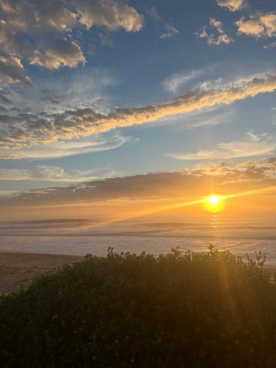 This vertical photograph captures a coastal sunrise or sunset scene in Wollongong, Australia, viewed from an elevated perspective looking towards the ocean. The upper two-thirds of the image depict a sky with a gradient from pale blue at the top to a luminous golden-orange hue near the horizon. Various cloud formations are present: scattered cumulus clouds in the upper left, illuminated by golden light; a prominent, elongated horizontal band of golden-tinged clouds stretching across the mid-sky; and subtle wispy cirrus clouds. A green lens flare is visible in the upper-mid left quadrant of the sky.
The sun, a brilliant yellow-orange orb, is positioned low on the horizon, slightly to the right of center, emitting strong, radiant light rays that extend across the sky and create an intense, reflective golden path on the ocean's surface. The ocean exhibits multiple lines of breaking waves with white foam, with the water appearing in a blend of dark blue-grey and golden tones.
A narrow strip of light brown sand is visible along the coastline in the lower-left portion of the image. The foreground, comprising approximately the lower one-third of the frame, is dominated by a dense mass of dark green shrubbery, characterized by broad leaves and scattered small yellow flowers. Portions of this foliage on the right side are directly illuminated by the low sun. No human figures, animals, or man-made structures are discernible within the frame.