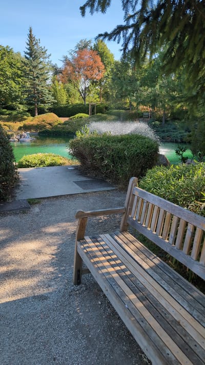 This image captures a serene park scene in the city of Dijon, France. In the foreground, a weathered wooden bench is positioned on a gravel path, bathed in dappled sunlight that casts geometric shadows across its surface. To the left of the bench, a concrete walkway leads towards a vibrant green pond. The pond is surrounded by lush, manicured shrubbery and trees, some of which display autumnal colors. In the background, a graceful fountain sprays water into the air, creating a shimmering effect against the backdrop of verdant foliage and a clear blue sky. The overall impression is one of tranquility and natural beauty, typical of a well-maintained urban park.