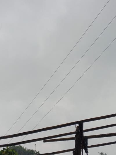 Three horizontal pipes sit on a weathered post. Two vertical wires span the upper portion of the frame, cutting through a uniform gray sky. Below the pipes, hints of lush green foliage appear, suggesting a natural environment just beyond the structure. The overcast sky creates a muted, somewhat somber atmosphere.