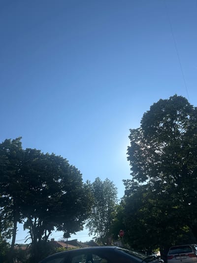 The image depicts a clear blue sky above a street in Popovo, Bulgaria. Several mature trees with dense green foliage dominate the foreground and midground, with sunlight filtering through the leaves of the tree on the right. In the lower portion of the image, rooftops of houses with orange tiles are visible behind the trees, along with parked cars and a stop sign. The scene appears to be set during daylight hours.