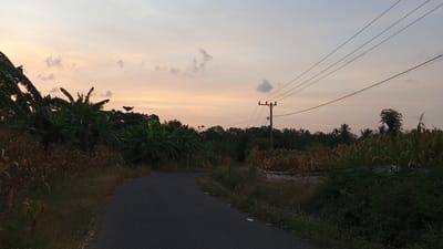 The image depicts a rural road curving to the left, bordered by vegetation and crops under a twilight sky. On the left side of the road, lush banana trees are prominent, with dry, brown corn stalks visible in the foreground. On the right side, a field of corn is present, with some stalks appearing dry and others greener. Beyond the cornfield, a dense line of trees forms a natural boundary. A single wooden utility pole with power lines stretches across the upper portion of the image. The sky is a soft gradient of pale orange and light blue, with a few scattered clouds. The scene appears to be in Cotjrat, Indonesia, given the tropical vegetation and the overall rural landscape. There are no people or animals visible in the image.