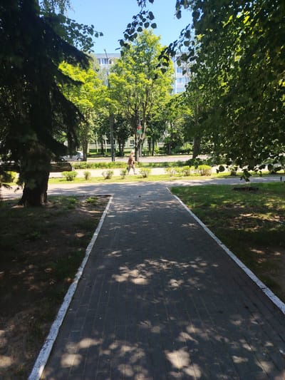 The image captures a sunlit scene along a paved walkway in Salihorsk, Belarus. The walkway, made of dark grey rectangular pavers with a white border, extends towards the background. Shadows from overhead foliage dapple the path. To the left of the walkway, a large coniferous tree stands, its dark green needles contrasting with the bright sunlight. Beyond this tree and the path, a grassy area leads to a road. A white car is parked on the side of the road, and a single individual, appearing to be a woman wearing light-colored pants and a patterned top, walks away from the camera on the grass bordering the road. In the background, there are more trees with vibrant green leaves and a multi-story building with a light facade and numerous windows. The sky is clear and blue. The environment suggests a public park or a tree-lined street within the city.