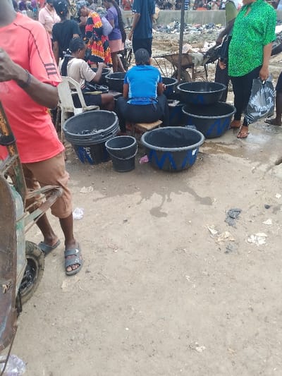 This photograph depicts a bustling outdoor market scene in Mgbuoshimini, Nigeria, captured during daylight hours with relatively even lighting, suggesting an overcast sky or ambient light. The ground is unpaved, a mix of damp earth and sand, littered with various debris, indicating an active and well-used space.

Numerous individuals are engaged in market activities. In the foreground on the left, a person in a red short-sleeved shirt, brown shorts, and dark sandals stands next to a rustic, metal cart, which is partially visible. Towards the center-left, another person is seated on a white plastic chair, bent over a large black basin, seemingly sorting or preparing goods. Nearby, a person wearing a blue top and dark trousers sits on a low wooden stool, facing away from the camera, also occupied with items in a similar black basin. On the right, a person in a vibrant green patterned shirt and black trousers stands, holding a black plastic bag with the visible text "BEST SHOPPING" and "WEDNESDAY". Many other people are scattered throughout the background, contributing to the busy atmosphere of the market.

The scene is dominated by several large, black plastic basins or bowls, some featuring distinctive blue markings, which are placed directly on the ground. These containers likely hold goods for sale, possibly produce or fish, given the wet patches on the surrounding ground. A smaller black bucket is also visible. In the background, there's a jumbled arrangement of market stalls or goods, with a concrete barrier visible further back, framing the busy commercial activity. The text "HAZEL" is faintly visible on one of the large black basins on the left. The overall impression is one of active commerce and daily life within a vibrant market setting.