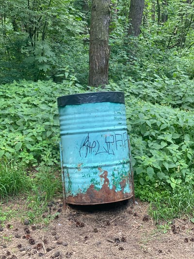 This image depicts a rusty, teal-colored metal barrel lying on its side in a wooded area. The barrel is partially covered in peeling paint and has some black tape around one end. There is graffiti on the side of the barrel, but it is difficult to decipher.
The barrel is situated amongst lush green foliage, with a tree trunk visible to the left of the barrel. The ground around the barrel is a mixture of dry grass and pinecones, suggesting a forest floor environment.
The scene appears to be outdoors during the daytime, with natural lighting. The overall impression is one of neglect and abandonment, with the discarded barrel a stark contrast to the natural beauty of the surroundings. The presence of graffiti further hints at human activity in the area, possibly by visitors or locals. The location context provided is Kotelniki, Russia.