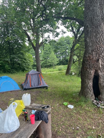 The image depicts a campsite set up near a large, old tree with a hollowed-out section in its trunk. Two tents are visible: one is blue and the other is gray with orange accents. In the foreground, a wooden table is laden with various items, including a white plastic bag, a yellow plastic bag, a jar, a large clear plastic container, a can of energy drink, a red plastic cup, and a black piece of clothing. A pocket knife and a smartphone are also on the table. The surrounding environment is characterized by lush green grass, trees, and a body of water in the background. The scene suggests a temporary encampment in a natural setting, likely within the Вяззеўскі сельскі Савет, Belarus.