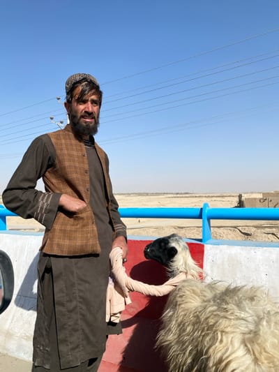 The scene, located in Mandisar, Afghanistan, depicts an adult male and a sheep outdoors under a clear blue sky. The man, positioned on the left, wears a dark patterned skullcap, a dark brown tunic with white embroidered cuffs, and a brown plaid vest. His left hand is in his vest pocket, and his right hand, adorned with a ring, holds a light-colored fabric leash. This leash is attached to a sheep, partially visible in the lower right foreground. The sheep has a black face, white hair around its head, and a shaggy white wool body. Both subjects are situated alongside a concrete barrier, which is painted red and white at the top and surmounted by a blue metal railing. In the background, power lines extend across the clear sky, supported by a visible power pole on the left. The midground and distant background reveal a flat, arid, sandy landscape, with indistinct structures and a faint human figure visible in the far distance. Strong shadows are cast on the concrete barrier, indicating bright sunlight.