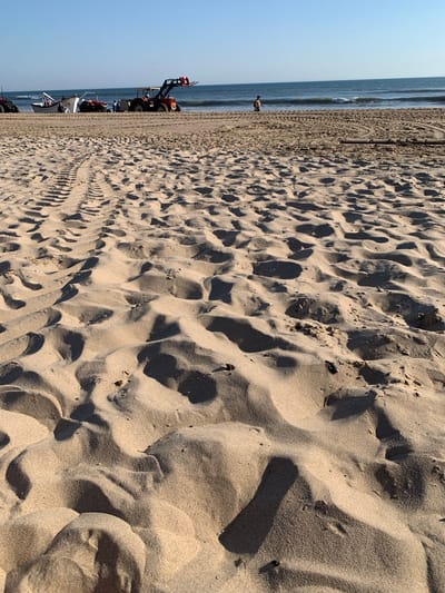 This image captures a wide view of a sandy beach in Costa da Caparica, Portugal, with the ocean in the background under a clear blue sky. In the middle ground, several tractors are positioned on the sand. One tractor, orange and yellow, has a loader attachment raised. Beside it, a white and blue boat is resting on the sand. Several people are visible near the boat and tractors, appearing to be working or engaged in activities related to the vehicles and boat. Further down the beach, a lone individual is walking near the water's edge. The foreground is dominated by the textured surface of the sand, showing ripples, tracks, and shadows cast by the sun. The scene suggests a working beach, likely involved in maritime activities such as launching or recovering boats.
