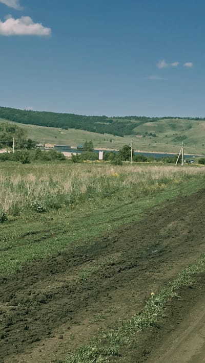This is a vertically oriented, eye-level, medium-wide outdoor shot depicting a natural landscape. The foreground is dominated by a dirt track with visible tire ruts, juxtaposed with patches of green grass and sparse vegetation. The midground features a field of dry grass and weeds, with scattered yellow wildflowers. Beyond this, a body of water, likely a lake or reservoir, is visible, bordered by trees and a small cluster of buildings. The background consists of rolling green hills covered in dense forest. The sky is a clear, bright blue with a few wispy white clouds. The image appears to have been taken on a sunny day. No people are visible in the scene. The overall impression is one of a rural or semi-rural setting.