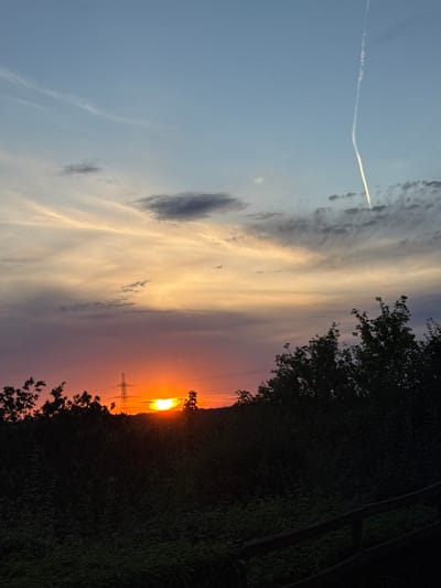 A silhouetted, dark green treeline forms the foreground of the image, with a wooden railing visible in the bottom right corner. Behind the trees, a vibrant sunset is in progress, with the sun appearing as a bright orange orb partially obscured by a distant pylon. The sky transitions from a deep purple hue near the horizon to lighter oranges and yellows, and finally to a pale blue at the top of the frame. Wispy clouds are scattered throughout the sky, and a contrail from an aircraft is visible as a thin white line in the upper right quadrant. The image appears to be taken in a rural or semi-rural area, possibly on the outskirts of the town of Grays, United Kingdom, given the presence of the pylon which is characteristic of the landscape in that region. There are no people or animals visible in the scene.
