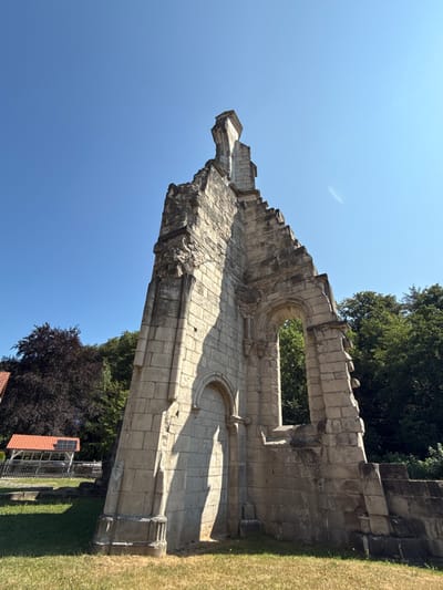 The image shows the ruins of a stone building, likely a church or monastery, set against a clear blue sky. The ruins are composed of large, rough-hewn stones and show signs of significant age and decay. One prominent feature is a tall, pointed structure on the left side, with visible architectural details such as arches and decorative carvings. To the right of this main structure, there is a large arched opening that reveals a dense green forest behind it. The foreground consists of dry, yellowish grass with scattered small green shoots and a few yellow wildflowers. In the background, to the left of the ruins, a building with a reddish-orange roof and solar panels is partially visible, along with a wooden fence and some trees, including a large tree with dark purple leaves. The sun casts strong shadows on the stone ruins, indicating it is likely midday. The overall impression is one of historical preservation and natural overgrowth. This is a view of the ruins of Walkenried Abbey in Walkenried, Germany.
