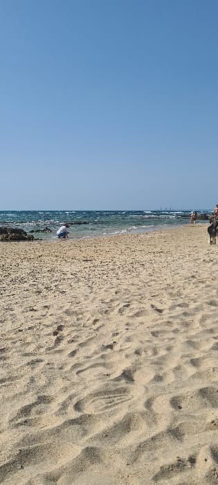 The image shows a sandy beach with a clear blue sky overhead. The shoreline is visible in the distance. There are a few people walking on the beach in the distance. One person is crouching near the edge of the water. The sand is light brown and textured. The location is a beach in Mihmoret, Israel, at latitude 32.409 and longitude 34.869.