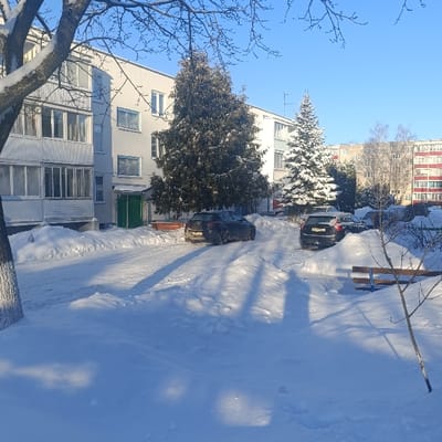 A winter scene features snow-covered ground and buildings under a clear blue sky. Two cars are parked on a path cleared through the snow. Evergreen trees stand near the buildings, one heavily laden with snow. A bare tree branch is visible in the foreground, alongside a wooden bench. The scene suggests a residential area in the midst of winter.