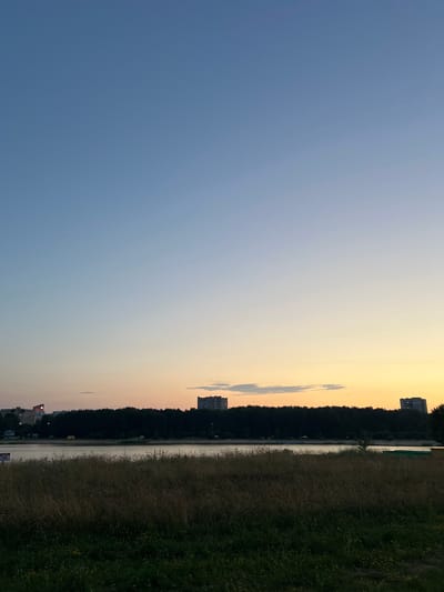 A panoramic view of the Salihorsk Reservoir in Salihorsk, Belarus, captures a serene twilight scene. The sky transitions from a clear, light blue at the top to a warm gradient of pale orange and yellow near the horizon, indicating the sun has recently set. In the distance, a dense line of dark green trees forms a natural barrier along the water's edge. Above the treeline, two mid-rise apartment buildings, characteristic of Soviet-era architecture, are visible. The foreground is dominated by tall, dry grass and patches of green vegetation, suggesting a natural or park-like setting. The reservoir itself appears calm, reflecting the soft sky colors. There are no visible individuals or animals in this still, expansive landscape.