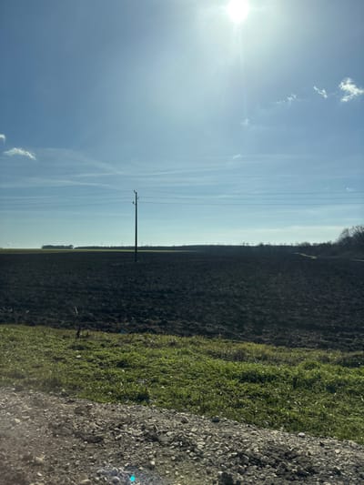 The image depicts a rural agricultural landscape in Senokos, Bulgaria, under bright daylight with a clear to partly cloudy blue sky. The sun is visible in the upper right quadrant, emitting a strong lens flare. The foreground consists of a strip of gravelly terrain at the bottom, transitioning upwards into a band of green grass and weeds. Dominating the midground is a vast, dark expanse of tilled earth, indicative of an agricultural field. A single, dark utility pole stands vertically in the left-center of this field, supporting multiple horizontal wires that extend across the frame. In the far background, a lighter green strip of vegetation is visible, beyond which lies a dark, dense line of trees or forest along the horizon, more pronounced on the right side of the frame. There are no individuals or discernible actions present in the scene.