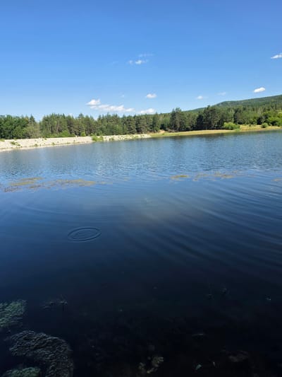 The image depicts a body of water, likely a lake or reservoir, under a clear blue sky with scattered white clouds. The foreground features ripples on the dark water's surface, with some submerged vegetation and debris visible. In the mid-ground, a line of green trees forms a dense forest along the shoreline. Beyond the trees, rolling hills covered in greenery rise in the background. The shoreline is reinforced with a pale, textured barrier, possibly stone or concrete. The location is identified as Osetenovo, Bulgaria. There are no people or animals visible in the scene. The overall impression is one of a natural, serene landscape on a sunny day.