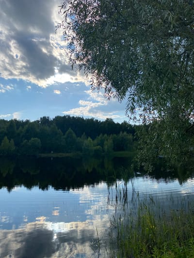 The image shows a reflective body of water, likely a lake or river, bordered by lush green trees and vegetation. The water's surface mirrors the sky, which is a mix of bright blue with scattered white and grey clouds. Sunlight breaks through the clouds in places, creating bright highlights on the water. On the left side of the frame, the branches of a large tree with long, slender leaves overhang the water, its foliage obscuring some of the sky and water. On the right side, tall grasses and reeds grow along the water's edge. The reflection of the tree line on the opposite bank is visible in the water, creating a dark, dense band of green. The overall scene evokes a sense of tranquility and natural beauty. The time of day appears to be late afternoon or early evening, given the angle of the sun and the quality of the light. There are no people or man-made objects visible in the image, and no text is present. The location is identified as Novyi Ural, Russia.