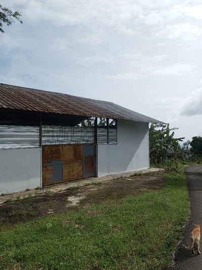 A weathered building with a corrugated metal roof and faded white walls stands adjacent to a narrow asphalt road. A rusty metal gate and barred windows define the structure's facade. Lush green grass covers the foreground, while a light orange cat walks on the road. Overcast skies and distant foliage complete the scene.