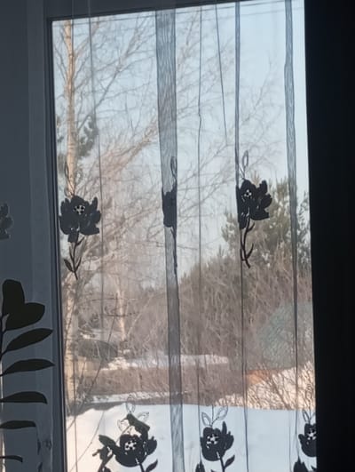 The image presents a view through a window in the city of Яромаска, Russia, looking out onto a winter landscape. Sheer, light-colored curtains with black floral and leafy patterns partially obscure the window. The exterior scene features ground covered in snow, numerous deciduous trees with bare branches, and clusters of evergreen foliage. A dark-colored roof of a building is visible amidst the trees in the mid-ground on the right side. The sky appears bright and clear, indicating daytime conditions. No individuals or specific actions are discernible.