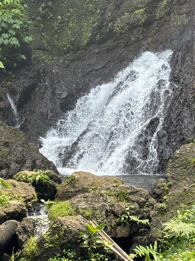 A waterfall cascades down a rocky incline amidst lush greenery. The water is white and frothy as it tumbles over dark, wet rocks. The surrounding environment is characterized by dense vegetation, including various types of plants and mosses clinging to the rocks. In the foreground, several large, moss-covered boulders are visible, with smaller rocks and foliage scattered around them. The overall scene depicts a natural, wild landscape in Rendang, Indonesia. There are no people or animals visible in the image. The lighting suggests an overcast or shaded day, contributing to the damp, natural feel of the scene.