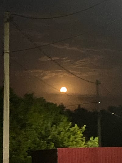 The image depicts a night scene in Sakmara, Russia, dominated by a luminous full moon partially obscured by clouds. The moon is situated in the upper center of the frame, casting a soft glow on the sky. In the foreground, lush green trees are visible, their foliage dark against the night sky. A red wooden fence runs along the bottom of the image. Electrical wires crisscross the sky, and a utility pole stands on the left side of the frame. The overall atmosphere is serene and nocturnal.