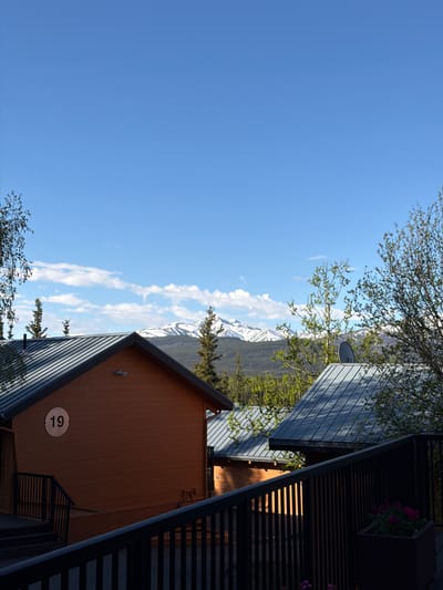 The image depicts a panoramic view of a subarctic landscape featuring multiple wooden cabins with metal roofs, set against a backdrop of forested hills and snow-capped mountains under a clear blue sky. The scene is consistent with the natural environment surrounding tourist accommodations within or near Denali National Park and Preserve, Alaska, United States, likely during late spring or early summer.

In the immediate foreground, a dark, possibly metal, railing extends horizontally across the bottom, then ascends diagonally towards the upper right, suggesting a deck or balcony perspective. To the bottom right, a dark planter box containing pink flowers is partially visible. To the bottom left, a dark staircase with a black metal railing descends out of frame.

The midground is dominated by two prominent cabins. The cabin on the left features light brown horizontal siding and a dark grey corrugated metal roof. A circular white sign with the number "19" in black is affixed to its side. Two white outdoor light fixtures are mounted above the sign. A dark pipe protrudes from the left side of this cabin's roof. A second cabin, partially obscured by the foreground railing on the right, also presents a dark grey corrugated metal roof, on which a small, light-colored satellite dish is mounted. Another similar cabin is visible further back between the two primary structures.

Sparse deciduous trees with budding light green leaves are scattered throughout the midground, including a tall, slender tree on the far left and a bushier tree with fuller foliage on the far right. Beyond the cabins, a dense forest of evergreen trees covers the rolling hills. In the far background, a range of large mountains with significant, but patchy, snow cover rises under a bright blue sky. Scattered white cumulus clouds are visible, particularly along the mountain range. The lighting indicates clear daylight, with shadows suggesting the sun is at an angle, possibly morning or late afternoon. No people are present in the image.