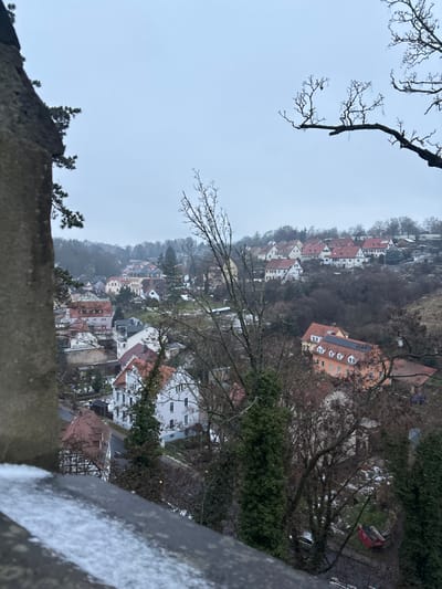 An elevated panoramic view captures a residential district within Meissen, Germany, likely from a vantage point such as the Albrechtsburg Castle or Meissen Cathedral, looking down into the Elbe River valley area. The scene depicts a winter or late autumn day under an overcast, light grey sky.
In the immediate foreground, to the left, a textured, light-colored stone wall or buttress fragment runs vertically. A dark grey parapet or railing, partially dusted with white snow or frost, extends horizontally across the bottom of the frame. Bare, skeletal tree branches with intricate patterns are visible against the sky in the upper right quadrant and center-right.
The midground and background showcase numerous residential buildings nestled along a winding road and ascending hillsides. These structures exhibit varied European architectural styles, predominantly with terracotta-red pitched roofs, some featuring dormer windows. Facades are generally light-colored, ranging from white to pale yellow and peach. One prominent orange-hued building in the lower right-midground features multiple attic dormers and solar panels installed on its roof. A partially visible half-timbered house is present on the left side of the road.
The landscape is densely covered with mostly leafless deciduous trees and some evergreen conifers, indicating a cold season. Patches of white, consistent with snow or frost, are visible on the ground and roofs in various areas. A wet or icy asphalt road runs through the lower midground, with a red roll-off dumpster positioned next to it on the right. No individuals or active movements are discernible within the frame.
