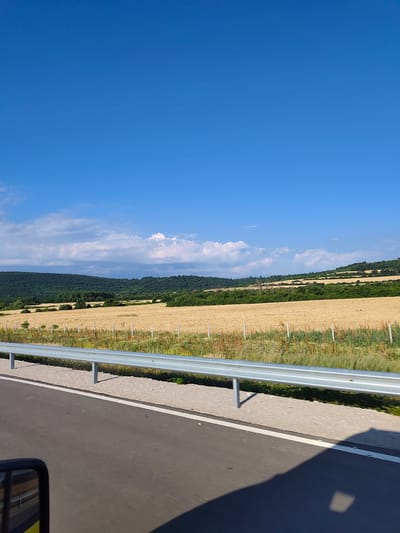 The image shows a rural landscape in Bulgaria, likely near the city of Peshterna. A paved road runs through the foreground, bordered by a metal guardrail. Beyond the guardrail is a large field of golden crops, possibly wheat or barley, stretching towards a line of rolling, tree-covered hills. The sky is a clear, bright blue with a few scattered white clouds. The overall scene depicts a sunny day in a agricultural region.