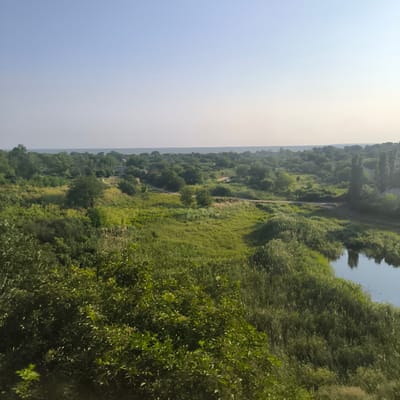 This is a landscape photograph taken from a high vantage point, looking out over a verdant, tree-covered area with a body of water. The sky is a pale, hazy blue, suggesting either early morning or late afternoon, with a slight haze or fog obscuring the distant horizon. The dominant colors are various shades of green from the lush vegetation, the blue of the water, and the muted tones of the sky.
The scene is characterized by dense foliage, with trees of varying heights and types filling the midground and foreground. There are patches of tall grass and reeds, particularly around the edges of the water. A narrow, unpaved road winds through the landscape, disappearing into the trees. In the distance, peeking through the trees, are a few scattered houses, suggesting a rural or semi-rural settlement. A calm body of water, likely a river or lake, is visible on the right side of the image, reflecting the surrounding greenery and tall, slender trees. The overall impression is one of a peaceful, natural environment. There is no visible text.