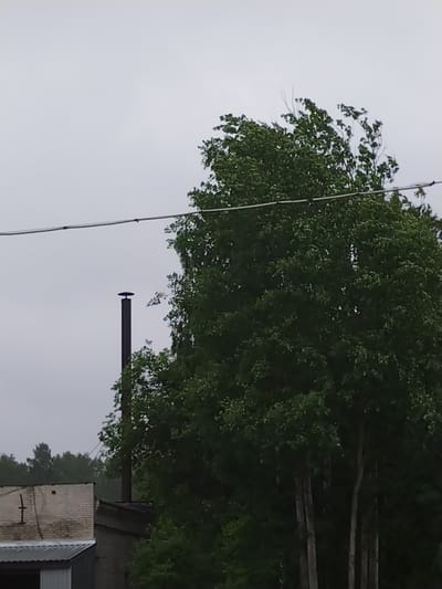A tall, dark-colored pipe with a wide, flat cap stands vertically on the left side of the frame, partially obscured by a large, leafy green tree that dominates the right side of the image. A thick, horizontal wire runs across the upper portion of the frame, supported by small black insulators. In the lower left corner, a portion of a light-colored brick building with a corrugated metal roof is visible. The sky is overcast and light gray. The image appears to have been taken outdoors in an area with industrial elements and vegetation, likely Pargolovo, Russia.