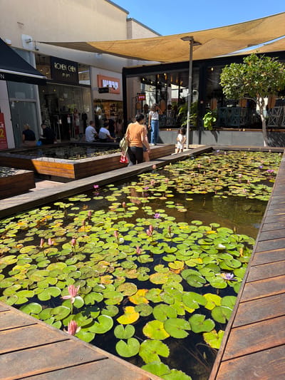 The image shows an outdoor shopping promenade in Ashdod, Israel. In the foreground, a rectangular water feature filled with lily pads and pink and purple water lilies is surrounded by a wooden deck. Several people are visible sitting on the edge of a wooden platform next to the water. In the background, there are shops and restaurants, with awnings providing shade. One shop has a sign that reads "RONEN CHEN". The environment appears to be sunny and pleasant.