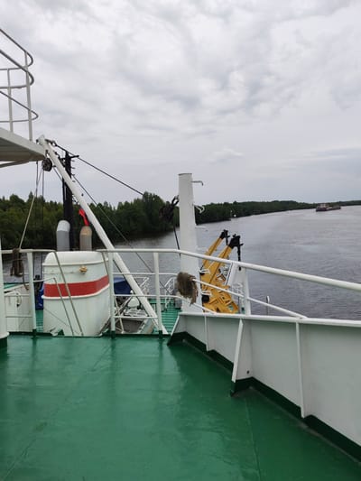 The image is a medium shot from the deck of a ferry looking out onto a wide river. The deck is painted a vibrant green and shows some signs of wear, with scuff marks and slight wetness visible. A white railing runs along the side of the deck, and beyond it, a portion of the ferry's superstructure is visible, including a white cylindrical tank with red bands.
To the left of the image, a white pole with rigging extends upwards. Further back, a dense line of green trees borders the river, suggesting a rural or natural environment. The river itself is calm and grey under an overcast sky. In the distance, a barge or another vessel is moving along the river. The sky is filled with heavy, grey clouds, indicating a cloudy or possibly rainy day.
There is no discernible activity or event taking place beyond the movement of the distant vessel. The time of day is unclear due to the overcast conditions, but it appears to be daytime. The location cues, such as the river and the type of vegetation, are consistent with a setting in a region like Novokemskii, Russia. No people are visible in the image. There is no visible text.