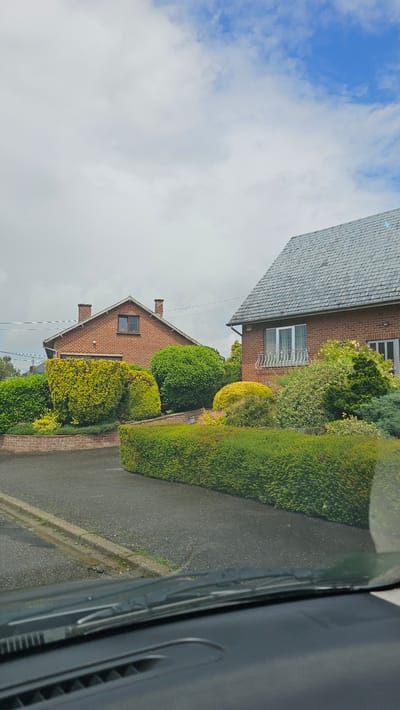 This image depicts a residential street scene in Thuin, Belgium, under a partly cloudy sky during daytime. The perspective suggests the photo was taken from inside a vehicle, with a dark interior panel partially visible along the right edge of the frame.
On the left side of the image, a dark, paved road or driveway is visible, running parallel to a low curb or a light-colored brick wall that separates it from the properties.
The right side of the scene is dominated by two brick houses surrounded by extensive, well-maintained landscaping. The house closer to the viewer features a reddish-brown brick facade, a dark grey slate roof composed of numerous small tiles, and a white-framed window with a decorative metal grate beneath it. Power lines stretch across the mid-ground.
Behind and slightly to the right of the first house, a second brick house is visible, also constructed of reddish-brown brick with a dark slate roof and two chimneys. The properties are adorned with a variety of lush shrubs and hedges, exhibiting different shades of green and vibrant yellow-green. A long, neatly trimmed green hedge runs along the property boundary adjacent to the road.
The sky in the upper left section of the image shows patches of bright blue amidst soft white and grey clouds. No people or specific activities are taking place, presenting a quiet, typical residential street view. There is no visible text in the image.