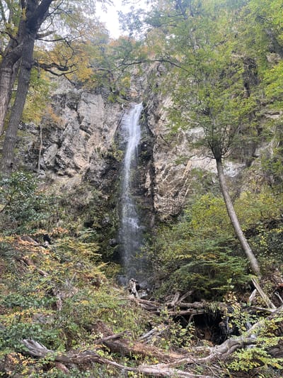 The image shows a waterfall cascading down a rocky cliff face. Lush greenery and trees frame the waterfall. The scene is likely located in Puerto Almanza, Argentina.
