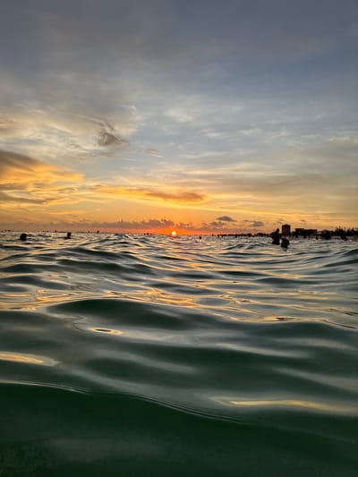 This is a low-angle, wide shot of the ocean at Siesta Key, Florida, during sunset. The foreground is dominated by dark green, choppy water reflecting the warm hues of the sky. In the mid-ground, numerous silhouetted figures are visible in the water, some with their heads above the surface. In the background, a distant shoreline is lined with buildings and a crowd of people, all silhouetted against the vibrant sunset sky. The sun, a bright orange orb, is setting on the horizon, casting a warm glow across the sky, which features streaks of orange, yellow, and blue clouds. The overall scene depicts a lively beach atmosphere at dusk.