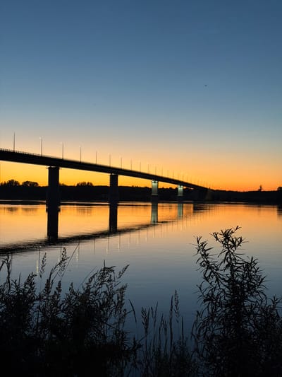 An elongated bridge spans a calm river under a gradient sky transitioning from deep blue to vibrant orange at the horizon. The bridge's silhouette is defined by streetlights casting reflections on the water. On the far bank, trees form a dark, unbroken line. In the foreground, the dark silhouettes of reeds and other vegetation rise from the riverbank. The image depicts a serene twilight scene in the city of Tarasovo, Russia, focusing on the bridge and its reflection.