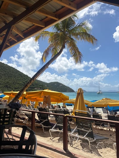 The image presents a sunlit view from a covered outdoor patio overlooking Cane Garden Bay, Tortola, British Virgin Islands. In the immediate foreground, a wooden roof structure with exposed beams and corrugated metal is visible overhead, alongside a dark wooden railing and parts of outdoor dining chairs and tables; a dark fabric object rests on a table to the left. The midground features a sandy white beach equipped with numerous open yellow beach umbrellas and several closed ones, interspersed with dark-framed lounge chairs. Multiple individuals are partially visible, seated or reclined on these chairs, appearing to relax. A prominent palm tree with a long, curved trunk leans diagonally from the left, its green fronds extending into the upper frame. The background displays a calm, turquoise-blue ocean dotted with several anchored sailboats and catamarans. Beyond the water, lush green, forested hills form the distant coastline under a clear blue sky scattered with white cumulus clouds.