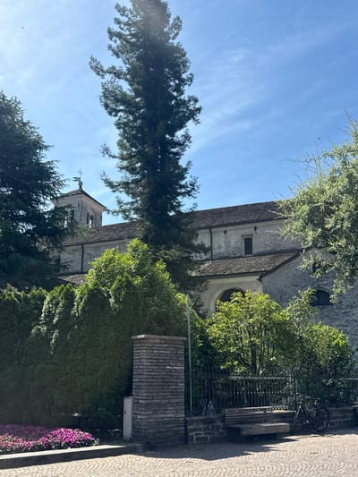 This is a vertical, eye-level shot of a church tower and surrounding trees, likely taken on a sunny day. The church, constructed from stone, has a weathered tile roof and features arched windows and a small square window. A cross atop the tower suggests it's a place of worship.

The foreground is dominated by lush green trees, including a tall, slender evergreen and dense foliage. Some of these trees partially obscure the view of the church. To the right of the church, a cobblestone path leads away from the viewer. A dark metal fence runs alongside the path, and a wooden bench is visible behind it, along with a bicycle leaning against the fence.

Further to the right, a wall made of grey brick is visible, and at the very bottom right corner, a cluster of vibrant purple flowers adds a splash of color. The sky above is a clear blue with a few wispy clouds. The overall impression is one of a tranquil, sunlit afternoon in a European town. There is no visible text in the image.