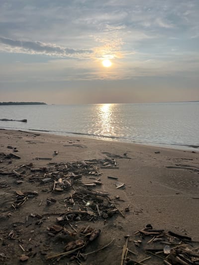 The image depicts a serene beach scene at sunset. The sun, a bright orb partially obscured by wispy clouds, casts a shimmering golden path across the calm waters of a lake or sea. The foreground is a sandy beach littered with driftwood, twigs, and small stones. The water's edge gently laps the shore. In the distance, a dark, treed shoreline stretches across the horizon, with a faint silhouette of what might be a ship on the water. The overall atmosphere is tranquil and natural. The location specified, Borovoye, Russia, is a resort town known for its beautiful lakes and forests.