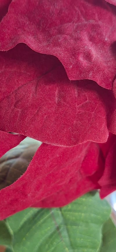 The image shows a close-up, abstract view of red velvet-like material, possibly a part of a decorative item or clothing. The texture is soft and plush, with visible fibers creating a slightly fuzzy appearance. The material is folded and layered, creating shadows and highlights that give it depth. In the lower part of the image, blurred green elements suggest leaves or a background of greenery. There are no people or identifiable structures. The image is taken in Orimattila, Finland, but this specific scene provides no visual clues to confirm its location within the city.